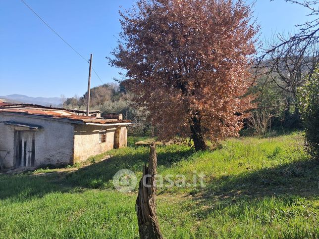 Terreno agricolo in commerciale in Via Empolitana 240