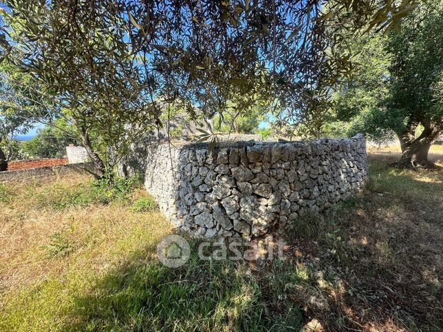 Terreno agricolo in commerciale in Strada Valente