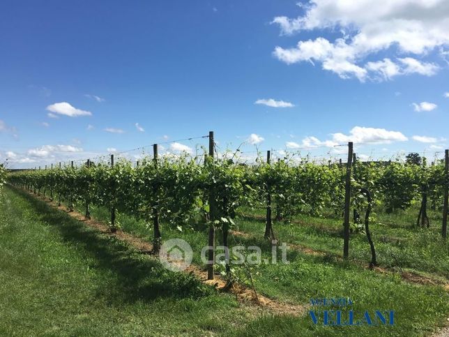 Terreno agricolo in commerciale in 