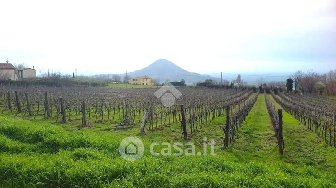 Terreno agricolo in commerciale in Via s. silvestro