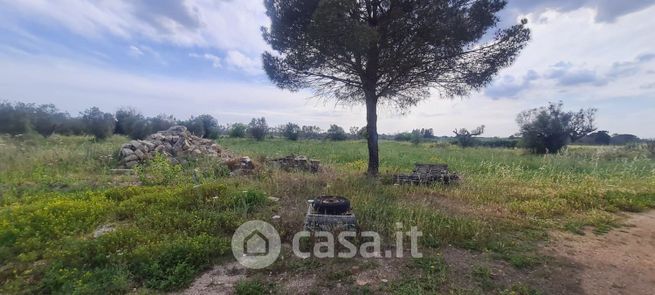 Terreno agricolo in commerciale in Via Madonna di Loreto