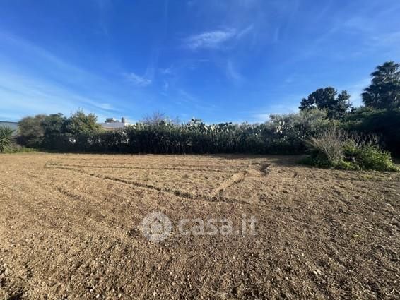 Terreno agricolo in commerciale in Contrada San Lorenzo
