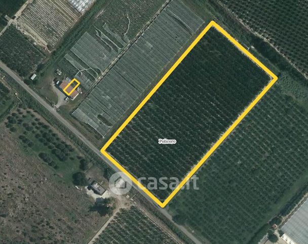 Terreno agricolo in commerciale in 
