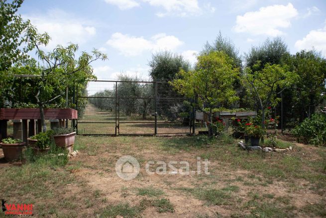 Terreno agricolo in commerciale in Via del Paratino
