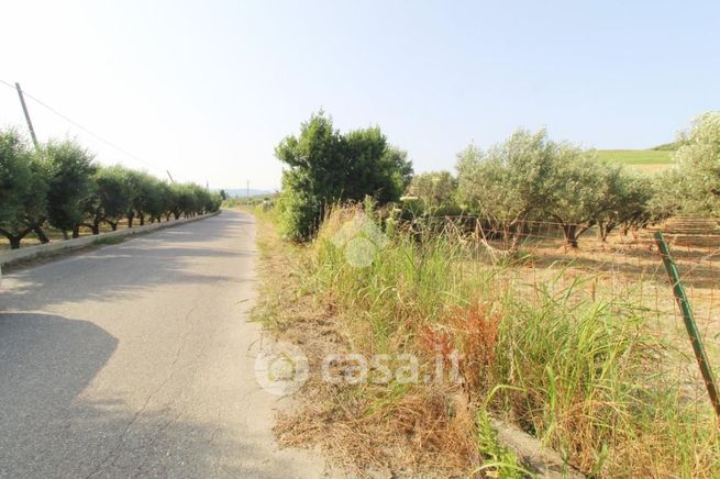 Terreno agricolo in commerciale in Strada Comunale Roccani