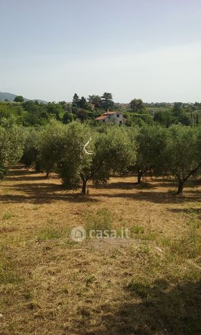 Terreno agricolo in commerciale in Via Paganico