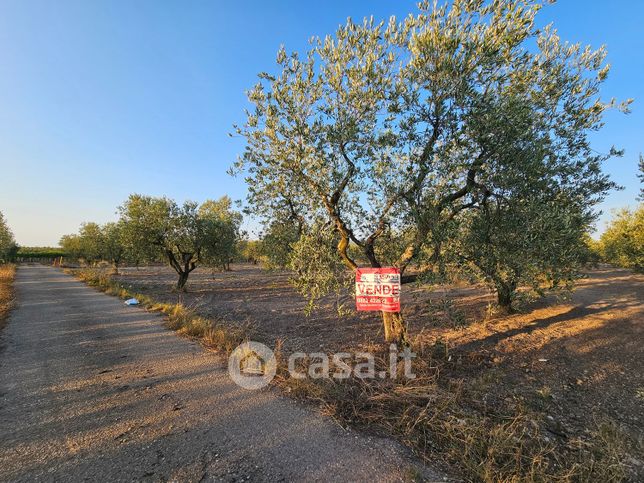 Terreno agricolo in commerciale in Contrada Vignali