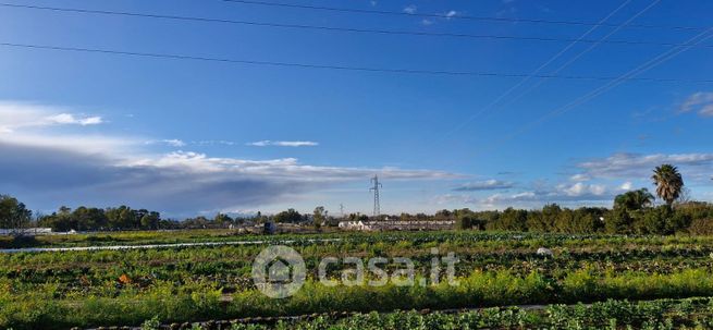 Terreno agricolo in commerciale in Viale Antonio Pennacchi 174