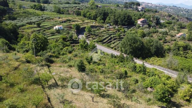 Terreno agricolo in commerciale in 