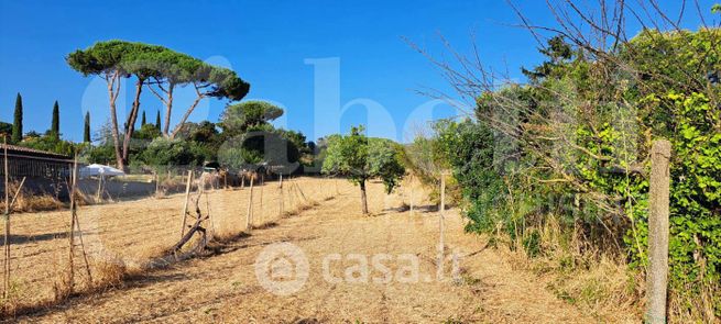 Terreno agricolo in commerciale in Via dei Lombardi