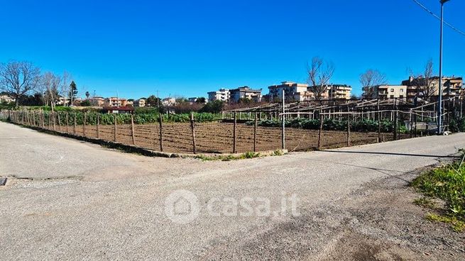 Terreno agricolo in commerciale in Via Moregine 37