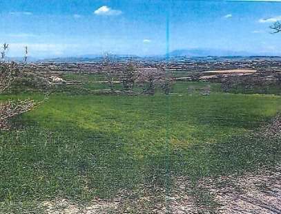 Terreno agricolo in commerciale in Strada Statale 317