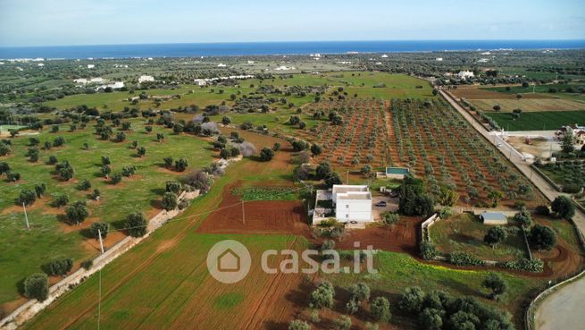 Terreno agricolo in commerciale in Strada Comunale Pignatta Pettolecchia