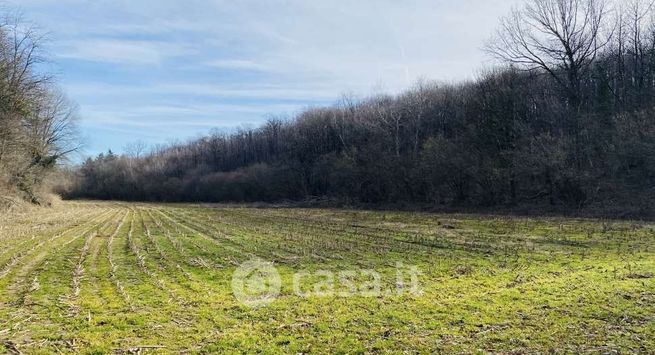 Terreno agricolo in commerciale in Via Buttigliera Alta