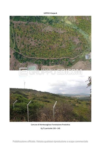 Terreno agricolo in commerciale in Contrada San Vito