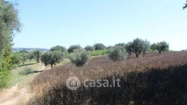 Terreno agricolo in commerciale in Via Colbuccaro