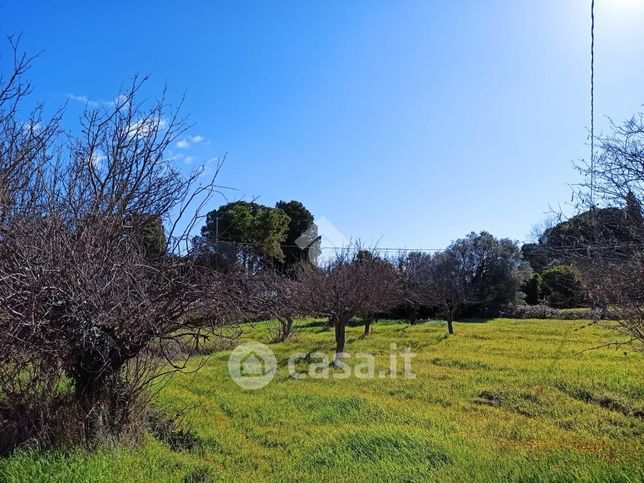 Terreno agricolo in commerciale in 