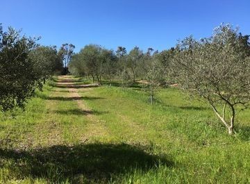 Terreno agricolo in commerciale in Contrada Fraginesi