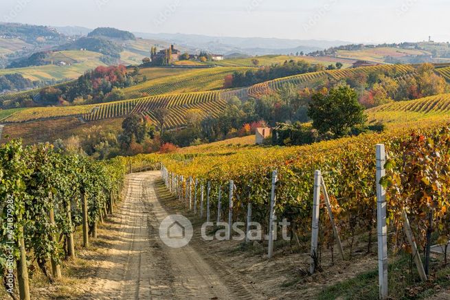 Terreno agricolo in commerciale in 