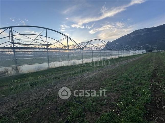 Terreno agricolo in commerciale in Strada Sant'Eleuterio