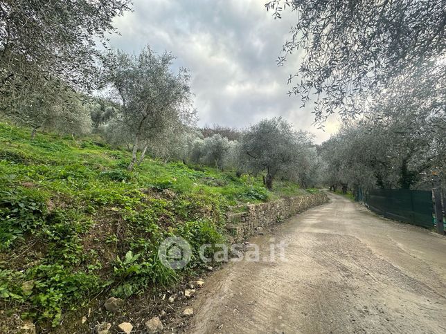 Terreno agricolo in commerciale in Strada Cian di Sei