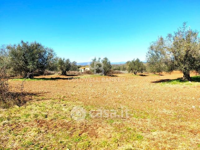 Terreno agricolo in commerciale in Strada Senza Nome