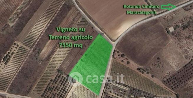 Terreno agricolo in commerciale in SP15