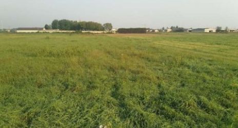 Terreno agricolo in commerciale in Via Risorgimento