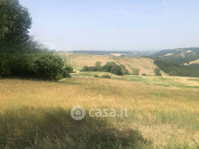 Terreno agricolo in commerciale in Via Gabbiano