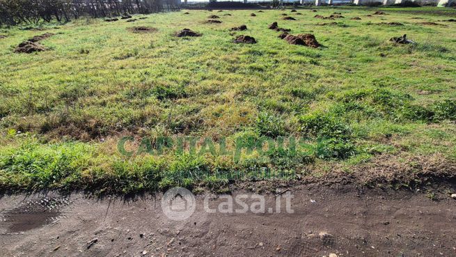 Terreno agricolo in commerciale in 