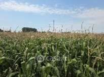 Terreno agricolo in commerciale in Via Dante Bertini