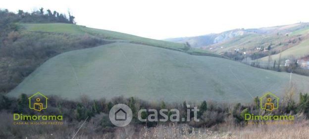 Terreno agricolo in commerciale in Via Rio Cozzi