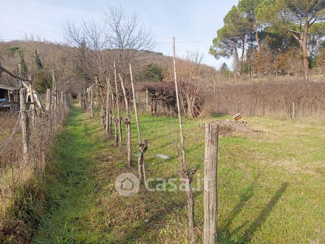 Terreno agricolo in commerciale in LocalitÃ  Maltraverso
