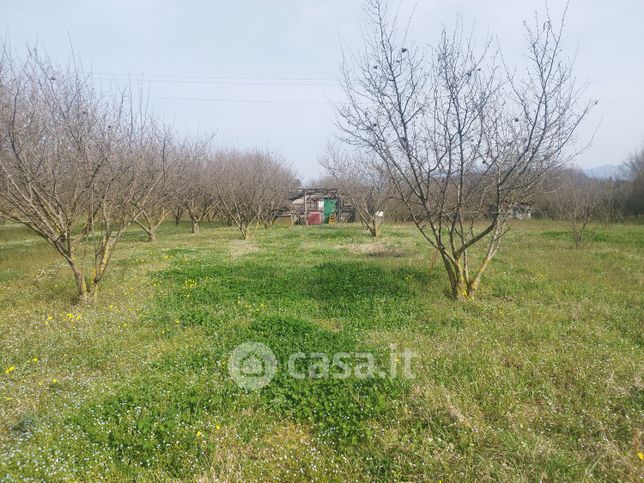 Terreno agricolo in commerciale in Via Provinciale Carchitti
