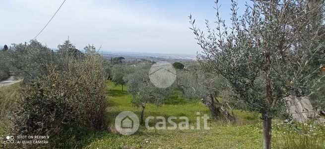 Terreno agricolo in commerciale in Strada di Pomata