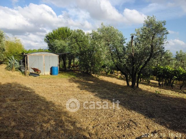 Terreno agricolo in commerciale in Via San Salvadore