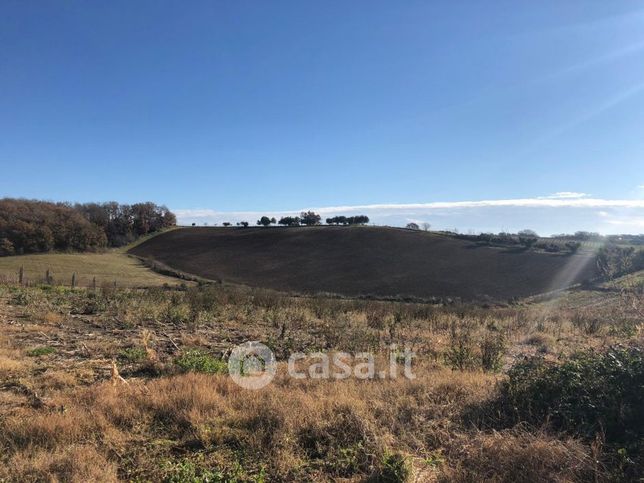 Terreno agricolo in commerciale in Largo PROCOIO DI CERI