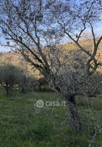Terreno agricolo in commerciale in Viale Piane San Donato