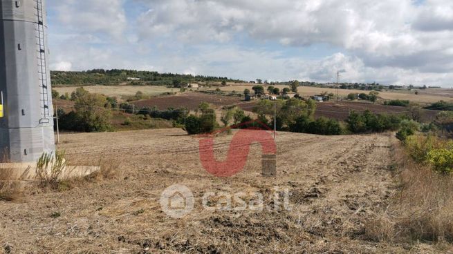 Terreno agricolo in commerciale in Contrada San Chirico