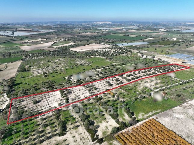 Terreno agricolo in commerciale in Contrada Agliastro