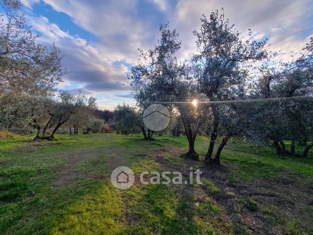 Terreno agricolo in commerciale in Strada Campogrande