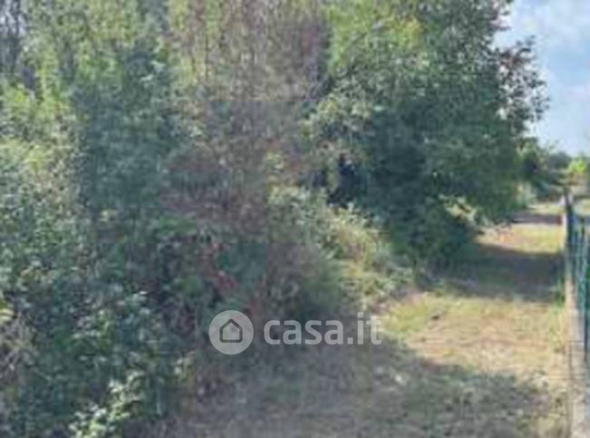 Terreno agricolo in commerciale in Via Vaccarolo