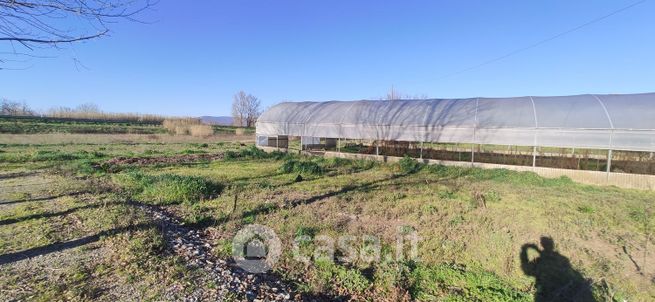 Terreno agricolo in commerciale in Via dell'Argingrosso