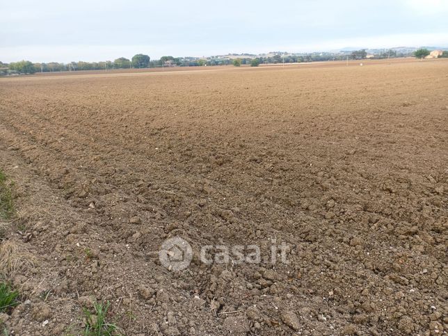 Terreno agricolo in commerciale in Contrada Schito