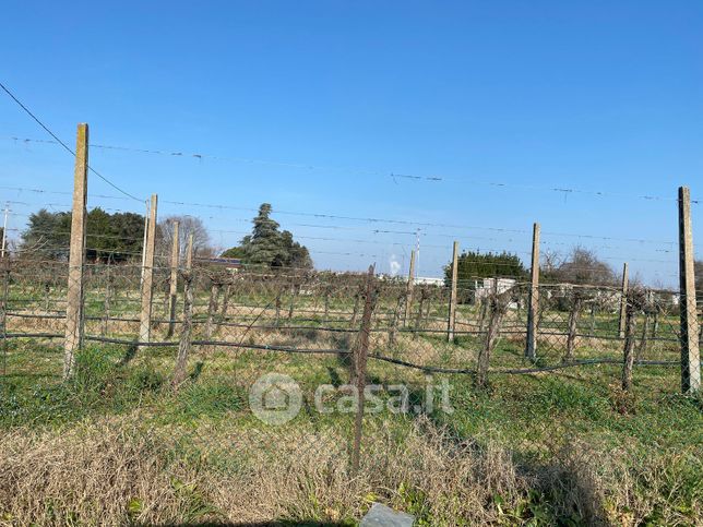 Terreno agricolo in commerciale in Via Correcchio