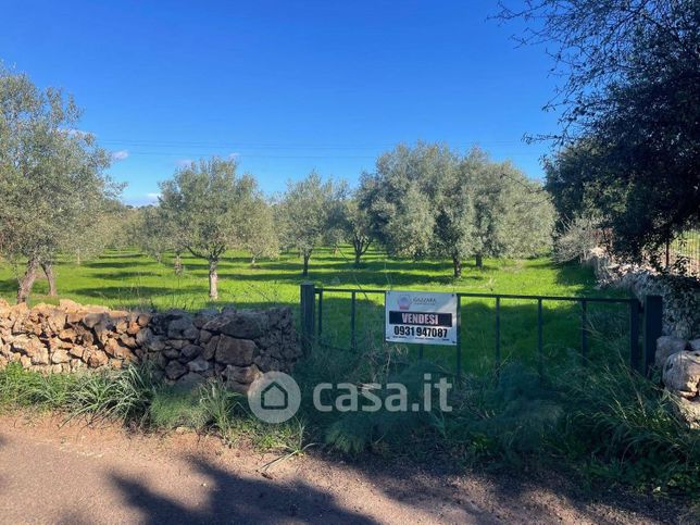 Terreno agricolo in commerciale in Cavasecca