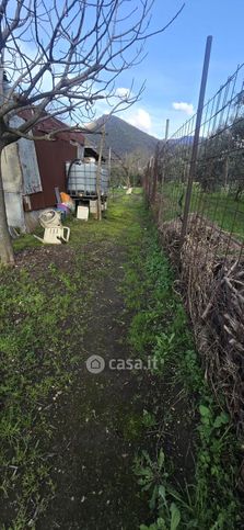 Terreno agricolo in commerciale in Via Pizzone