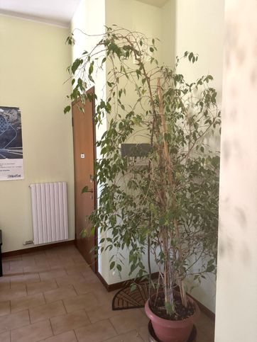 Ufficio in commerciale in 