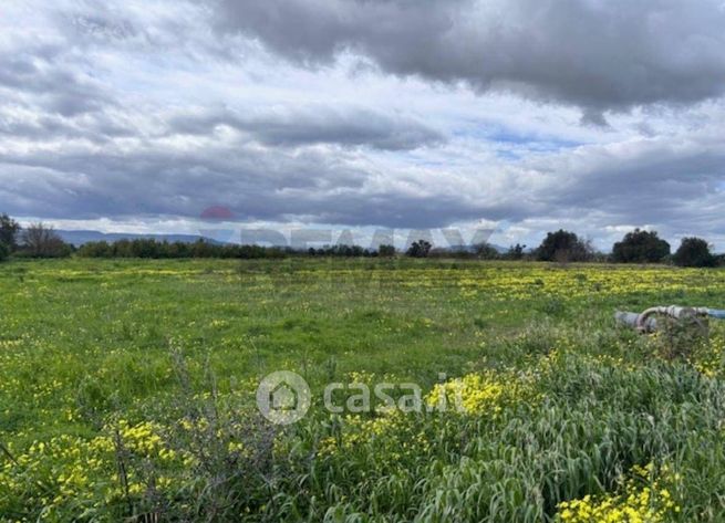 Terreno agricolo in commerciale in Via Conte Alaimo