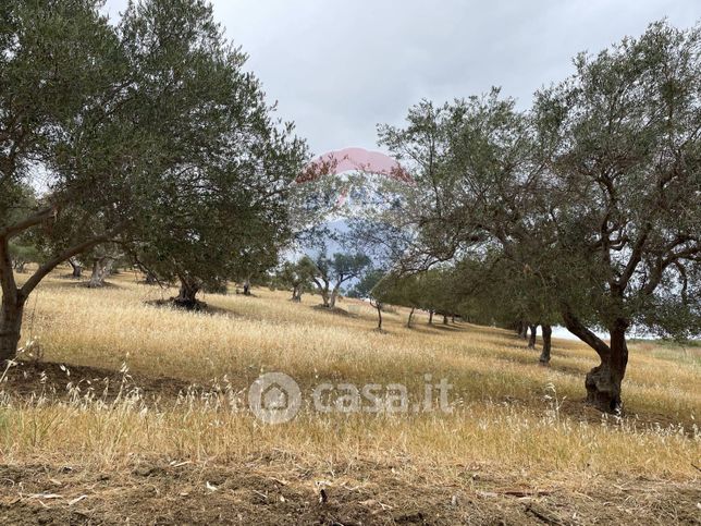 Terreno agricolo in commerciale in 